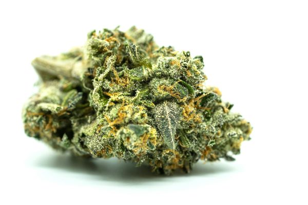 Botanical hemp plant macro showing trichomes and natural phytocannabinoid structures