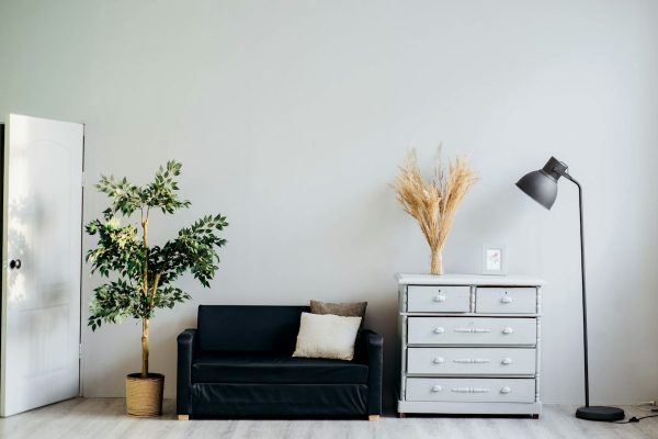 Biophilic interior design living space with natural sunlight, indoor plants, and wooden elements