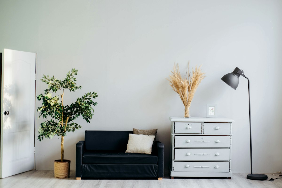 Biophilic interior design living space with natural sunlight, indoor plants, and wooden elements